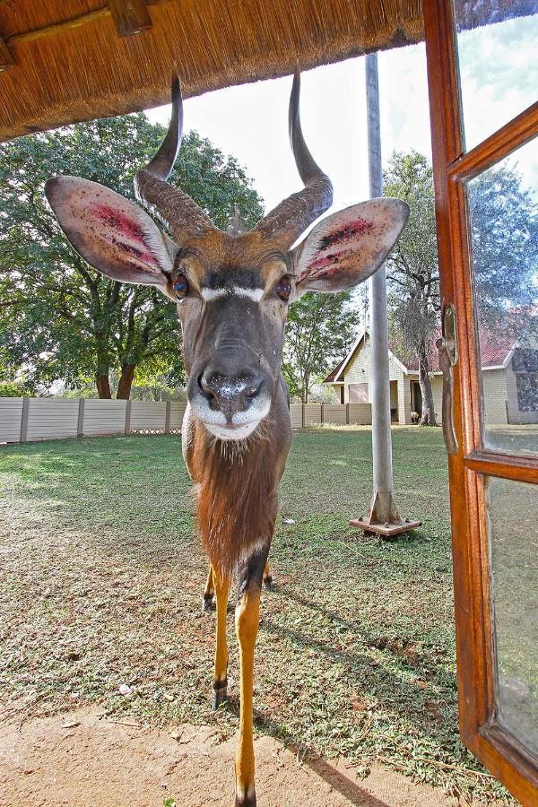 Fish Eagle Guest Farm Villa Phalaborwa Exterior photo