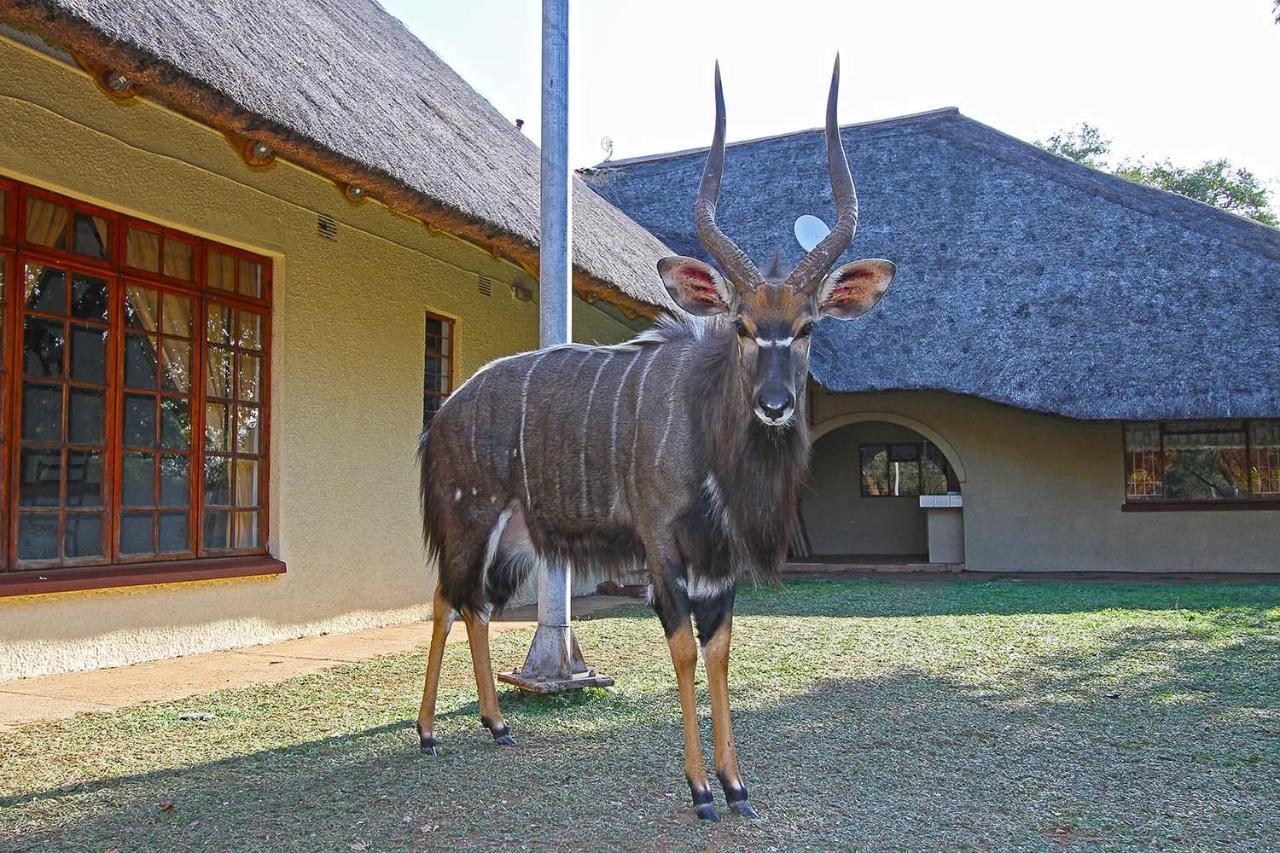 Fish Eagle Guest Farm Villa Phalaborwa Exterior photo